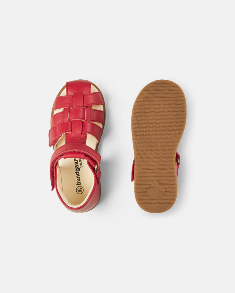Bali Cherry