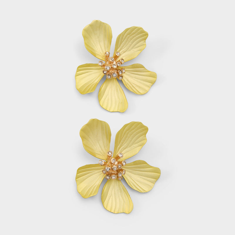 Cammelia