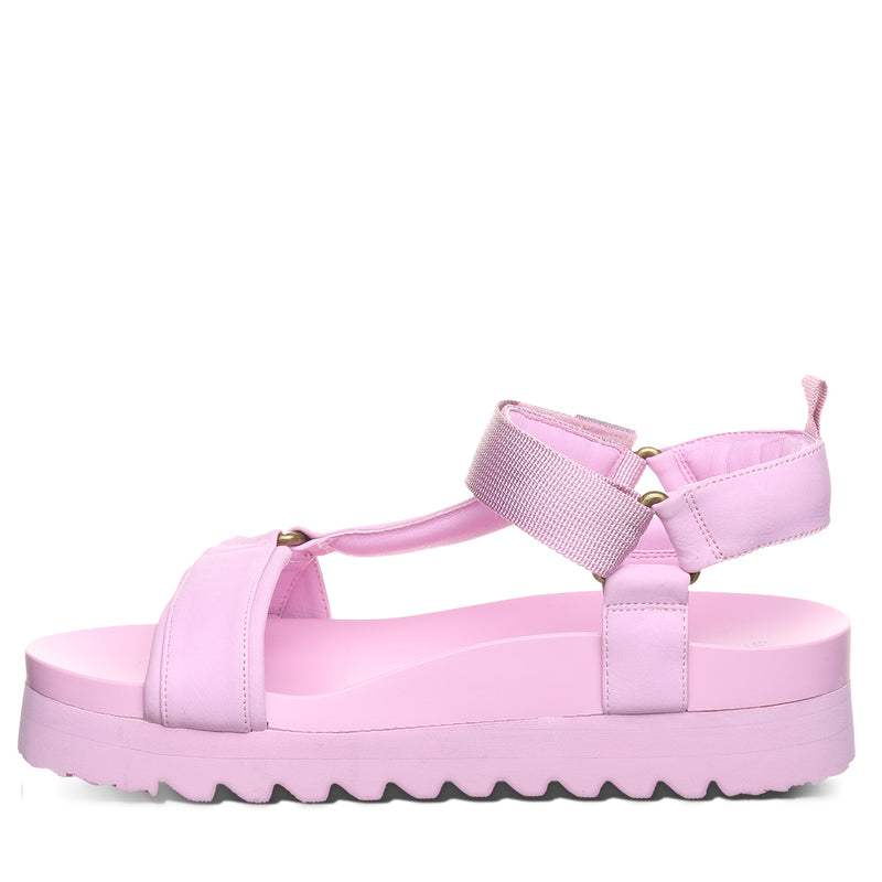 HYDRA PINK