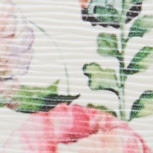 Magnoleaa
