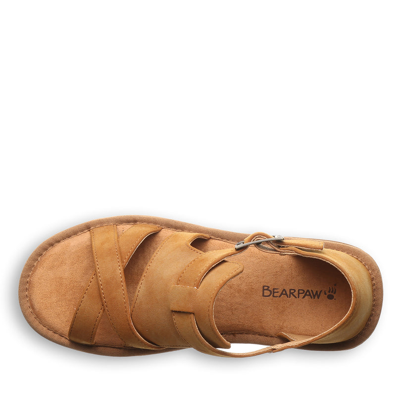 PINNACLE BROWN